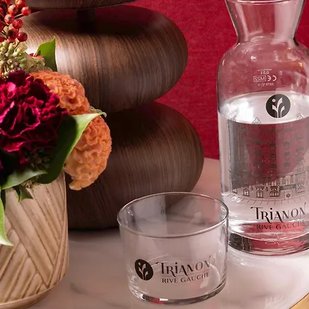 Trianon Rive Gauche 4* Parigi